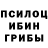Псилоцибиновые грибы Cubensis Wilson Zhu
