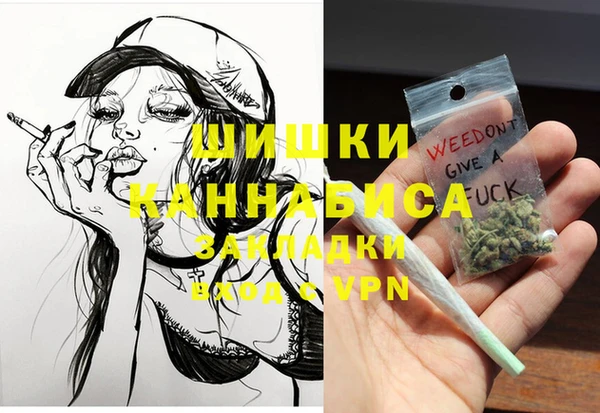 бошки Алексин