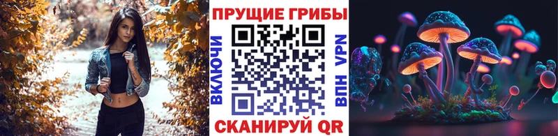 Галлюциногенные грибы Psilocybe наркотики Константиновск
